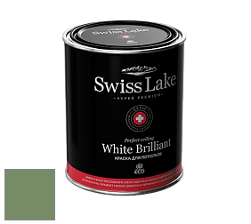 Swiss Lake White Brilliant глубокоматовая краска цвет NCS S 4030-G30Y 