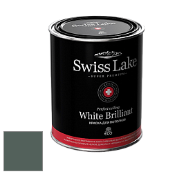Swiss Lake White Brilliant глубокоматовая краска цвет NCS S 7010-B90G