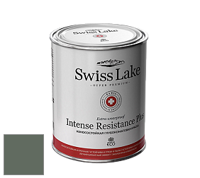 Swiss Lake Intense Resistance Plus глубокоматовая водно-дисперсионная краска цвет SL-2648 Dark olive